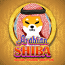 Arabian Shiba