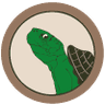Tortoise Inu