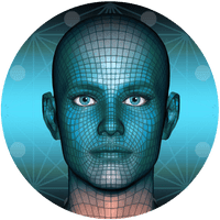 Metaverse Face