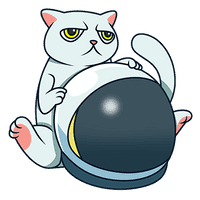 Cat Token