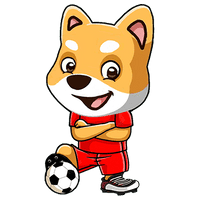 SoccerInu