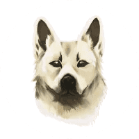 BUHUND