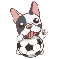 Soccers Dog
