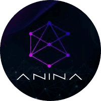 Anina Coin