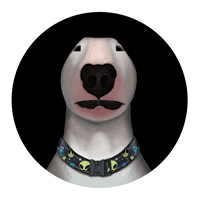 Walter Inu