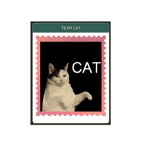 Team Cat