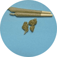 WEED COIN