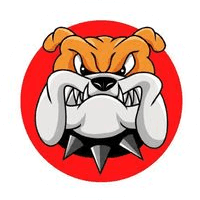 BULLDOG INU