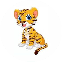 BNBTiger