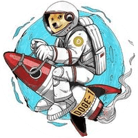 Doge-1 Mission to the moon