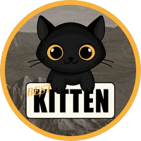 Kitten
