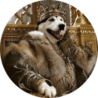 siberianhusky