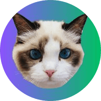 Taylor Swift's Cat