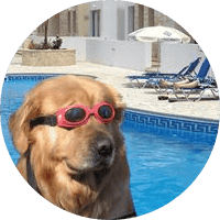 Doginthpool
