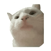 Vibing Cat