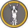 Billgates Dog Oreo