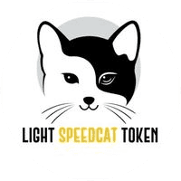 Light Speed Cat