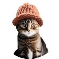 Catwifhat