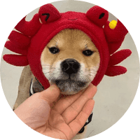 canwifhat