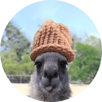 KangarooWifHat