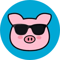 Piggy Coin