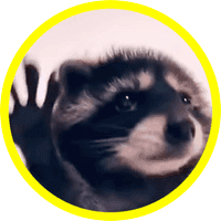 RaveRacoon
