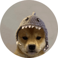 Shark Dog