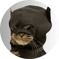 BatCat