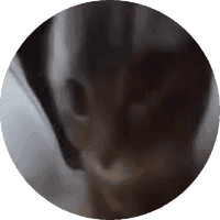 chipi