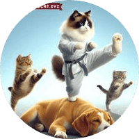 Kung-FuCat