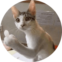 FLIPCAT