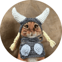 Floki Cat