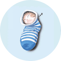 Cat in Socks