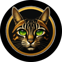 DudeCoin