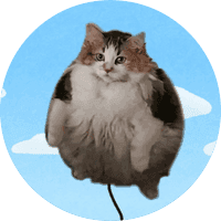 Balloon Cat