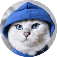 COBY THE CAT
