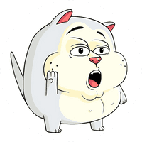 FATCAT COIN