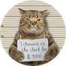 Jail Cat