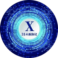 X314