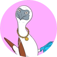 Blue-Footed Booby