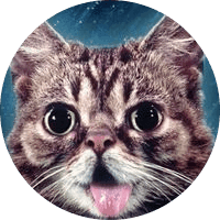 Lil Bub