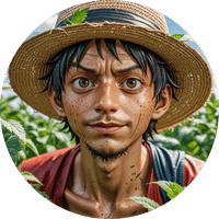 High With Luffy