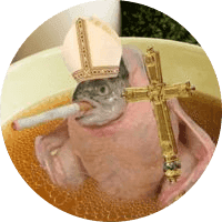 Smoking Chicken Fish