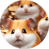 HamiDHamster