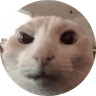 WAT