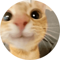 Hi how are you