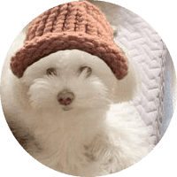 Pooku