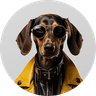 DOGUE