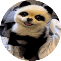 Yuki
