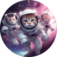 Sirius Kitten